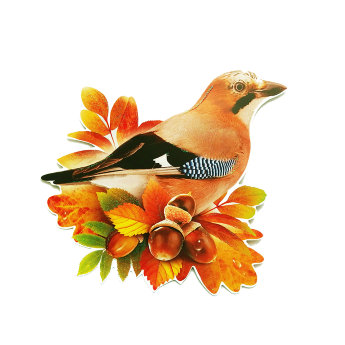 Открытка на скотче, птица А-113-449