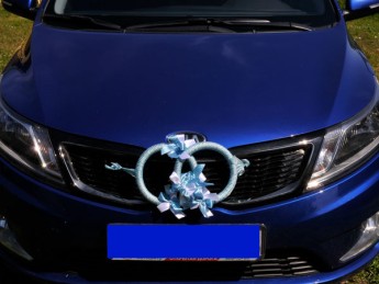 Свадебные кольца на радиатор автомобиля