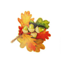Листья дуба и желуди на скотче А1-113-208