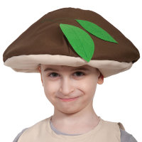 Шапочка гриб Боровик 4113