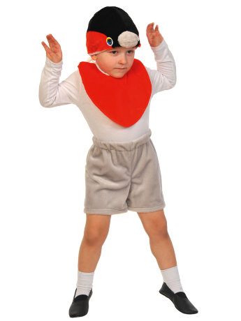 Костюм Снегирь лайт 01-3034