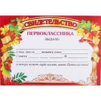 Свидетельство первоклассника 3100065