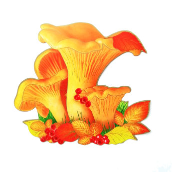 Открытка грибы лисички 29.790.00