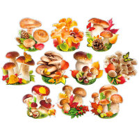 Набор открыток на скотче, грибы НР39