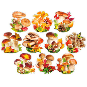 Набор открыток на скотче, грибы НР39