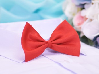 Галстук бабочка изящный, красный