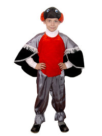 Костюм Снегирь 