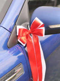Банты на зеркала и ручки авто, 2-хцветные