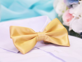 Галстук бабочка двойной золотистый