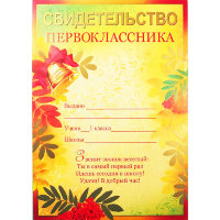 Свидетельство первоклассника 01.417.00