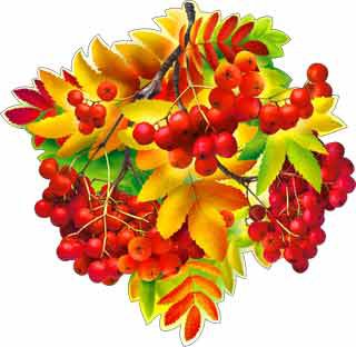 Украшения школы к 1 сентября, листья рябины А2-113-39