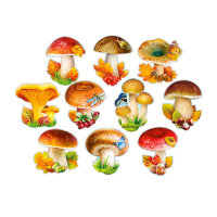 Набор открыток на скотче, грибы НР38