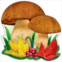 Открытка на скотче, грибы 3000356