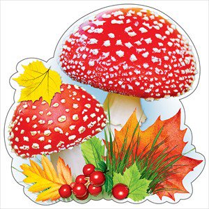 Открытка на скотче, грибы мухоморы 3000330