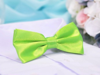 Галстук бабочка двойной, зеленый